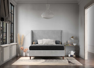 The Canvas Wingback